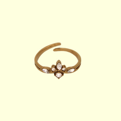 Nirvana Ring