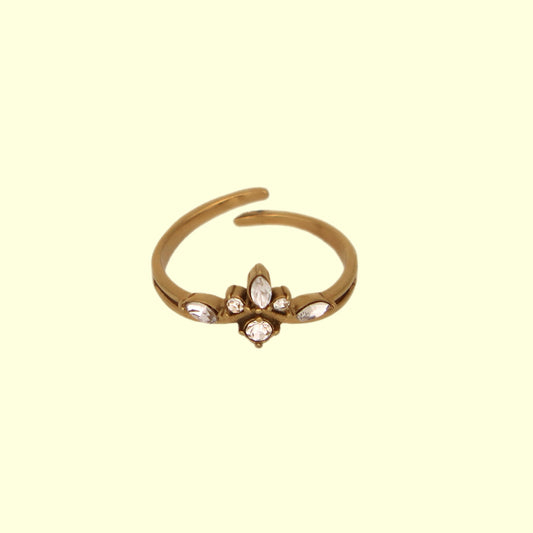 Nirvana Ring